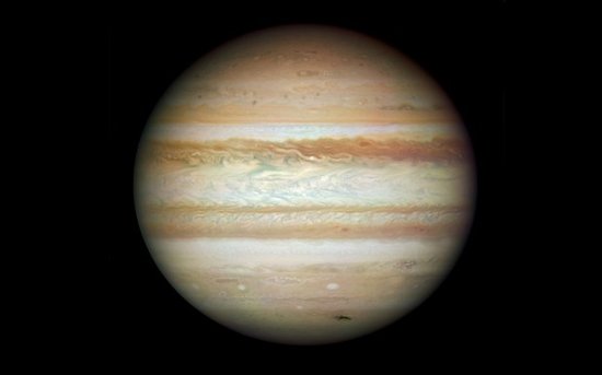 49ʿʷ¼20208